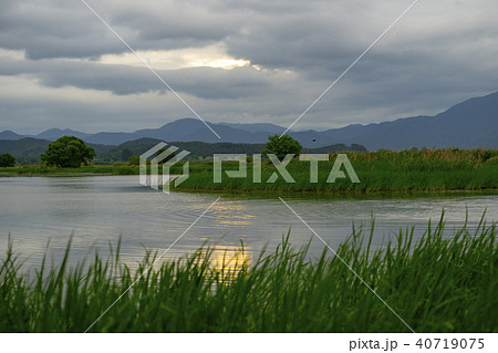 牛浦 昌寧郡 湿地 40719075
