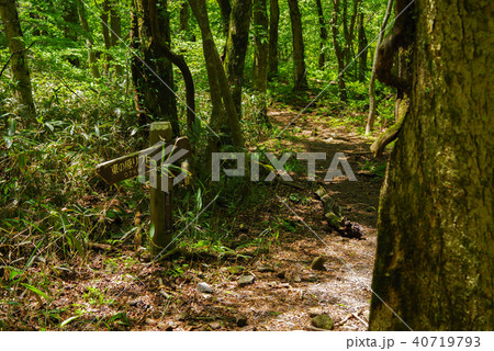 大平山展望台から室の内への景色（2018年5月） 40719793