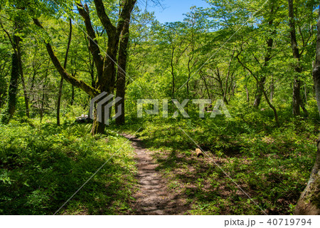 大平山展望台から室の内への景色（2018年5月） 40719794