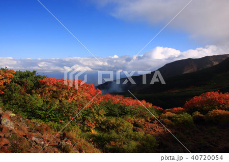 秋の富良野岳登山道から見る紅葉と雲海 秋の富良野岳登山道から見る紅葉と雲海 40720054