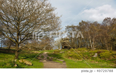 Brimham Rocks 40720788