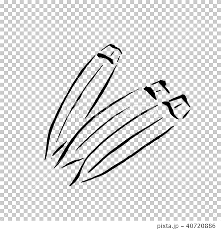 オクラ 筆で描くやさい 和のイラストのイラスト素材 40720886 Pixta