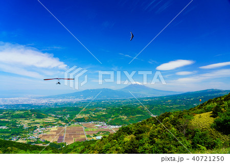 （静岡県）丹那盆地上空を飛ぶハンググライダーと富士山 40721250