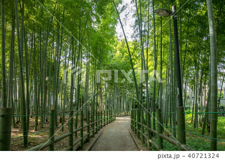 東京都目黒区、すずめのお宿緑地公園 40721324
