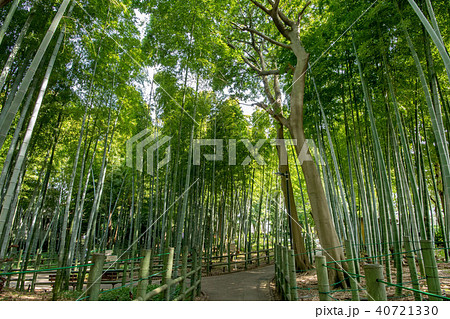 すずめのお宿緑地公園 40721330