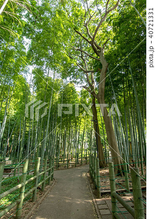 すずめのお宿緑地公園 40721331