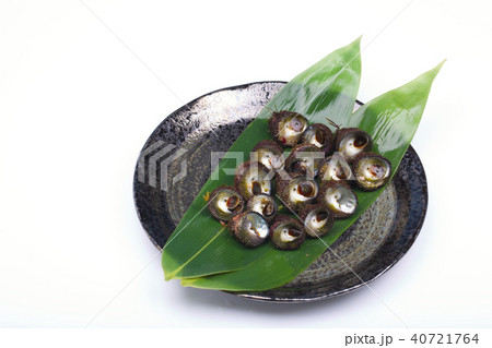 バテイラ シッタカ バテイラ シッタカ 40721764