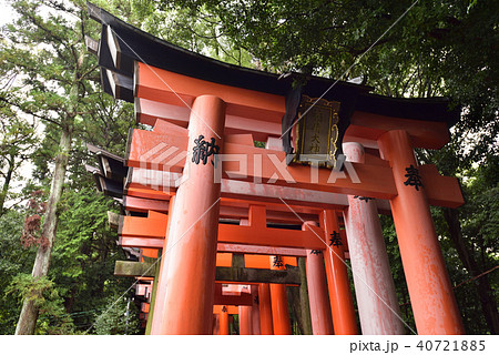 伏見稲荷大社　千本鳥居 40721885