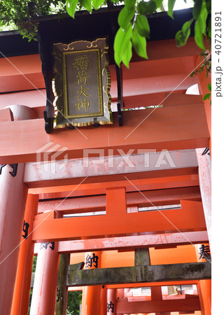 伏見稲荷大社　千本鳥居 40721891