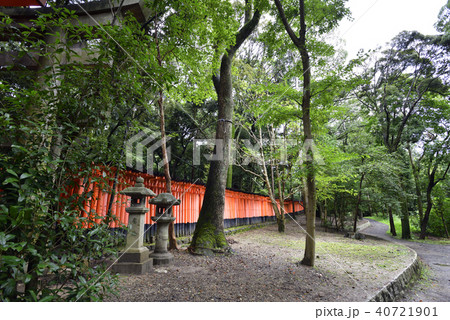 伏見稲荷大社　千本鳥居 40721901