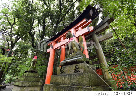 伏見稲荷大社 千本鳥居 伏見稲荷大社 千本鳥居 40721902