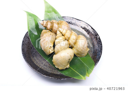 エッチュウバイ　食材 40721963