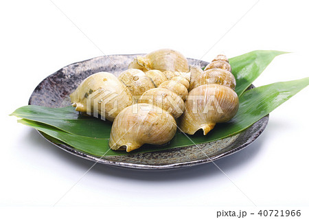 エッチュウバイ　食材 40721966