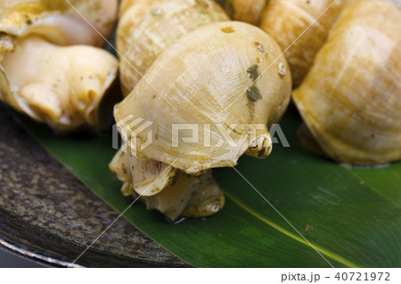 エッチュウバイ　食材 40721972