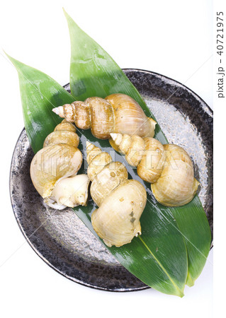 エッチュウバイ　食材 40721975