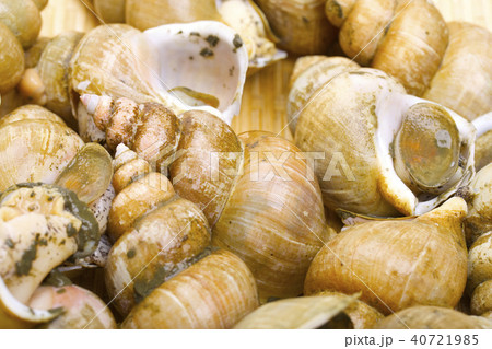 エッチュウバイ 食材 エッチュウバイ 食材 40721985