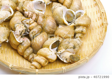 エッチュウバイ　食材 40721990