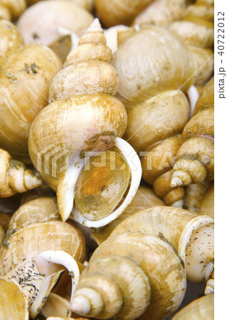 エッチュウバイ　食材 40722012