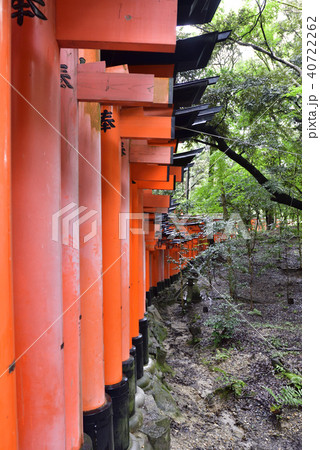 伏見稲荷大社　稲荷山鳥居群 40722262
