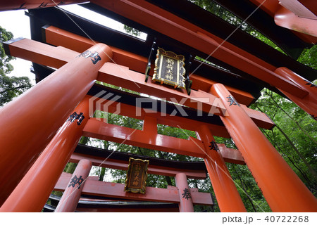 伏見稲荷大社　稲荷山鳥居群 40722268