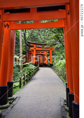 伏見稲荷大社　稲荷山鳥居群 40722270