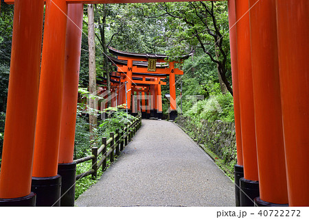 伏見稲荷大社　稲荷山鳥居群 40722272