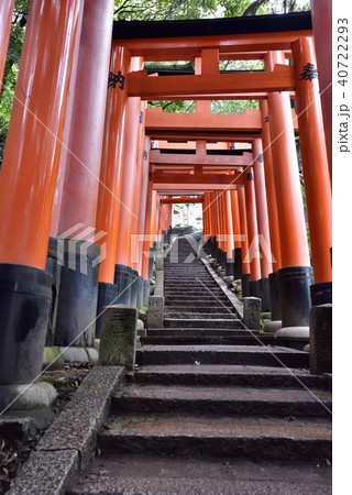 伏見稲荷大社　稲荷山鳥居群 40722293