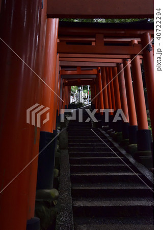 伏見稲荷大社　稲荷山鳥居群 40722294