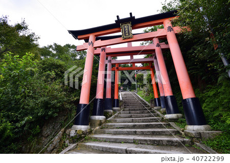 伏見稲荷大社　稲荷山鳥居群 40722299