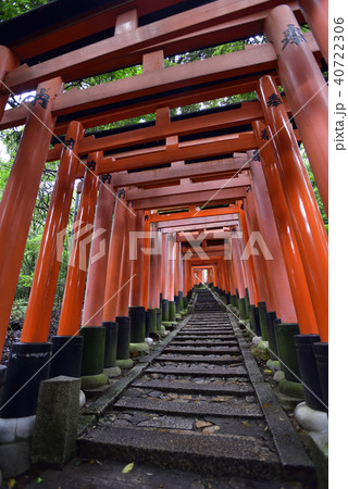 伏見稲荷大社　稲荷山鳥居群 40722306