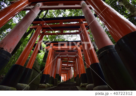 伏見稲荷大社　稲荷山鳥居群 40722312