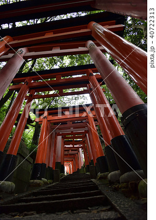 伏見稲荷大社　稲荷山鳥居群 40722313