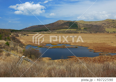長野県諏訪郡　八島ヶ原高層湿原 40722590