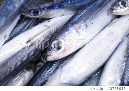 ホソトビウオ　食材　 40723035