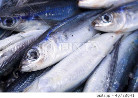 ホソトビウオ 食材 ホソトビウオ 食材 40723041