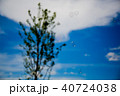5月の晴れた日に万博記念公園でシャボン玉 40724038