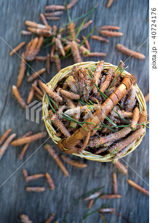 pine buds in a basket. top view 40724176