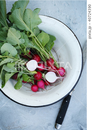 Radish in old metal bowl Radish in old metal bowl 40724390