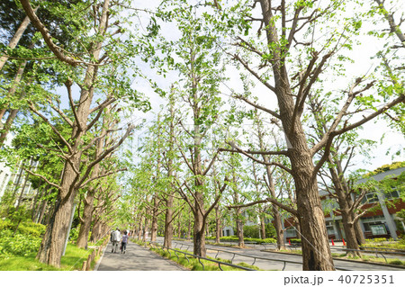 慶應義塾大学日吉キャンパス 40725351