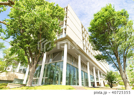 慶應義塾大学日吉キャンパス 慶應義塾大学日吉キャンパス 40725355