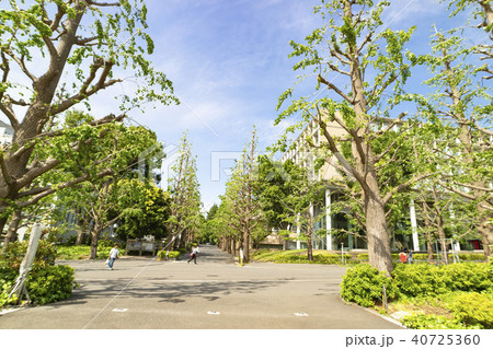 慶應義塾大学日吉キャンパス 40725360