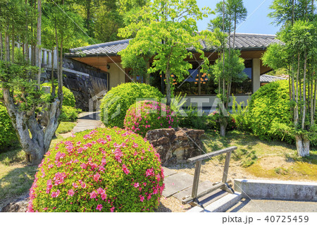 霊山寺　新緑　さつき　バラフェスタ 40725459