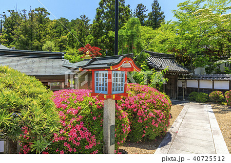 霊山寺 新緑 さつき バラフェスタ 霊山寺 新緑 さつき バラフェスタ 40725512