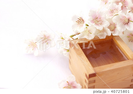 升酒と桜 升酒と桜 40725801