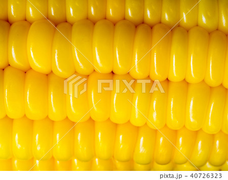 select focus of yellow corn. Nature for texture select focus of yellow corn. Nature for texture 40726323