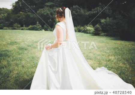 Beautiful luxury bride in elegant white dress 40728540