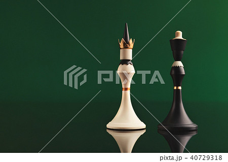 king chess pieces confronted as opposites