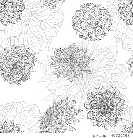 Beautiful monochrome sketch, black and white 40729598