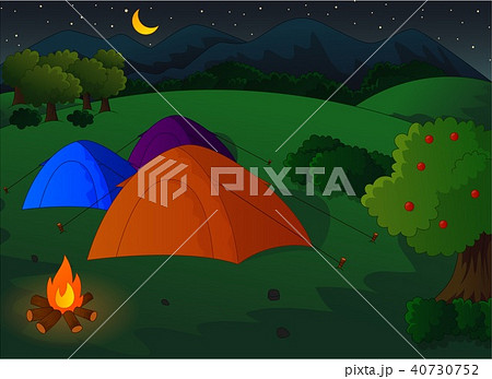 camping in the meadow at nightのイラスト素材 40730752 pixta