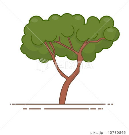 Green tree icon vector. Line color nature symbol isolated 40730846